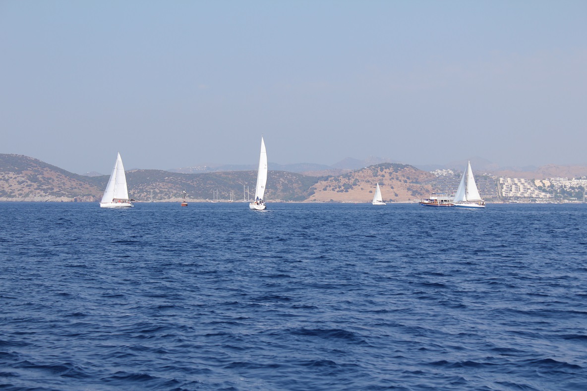 regatta