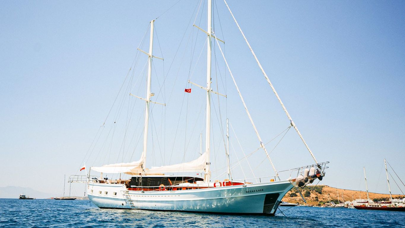 beyaz-lale